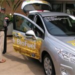 Biofuel Peugeot 207