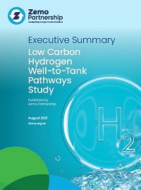 Low Carbon Hydrogen Well-to-Tank Pathways Study